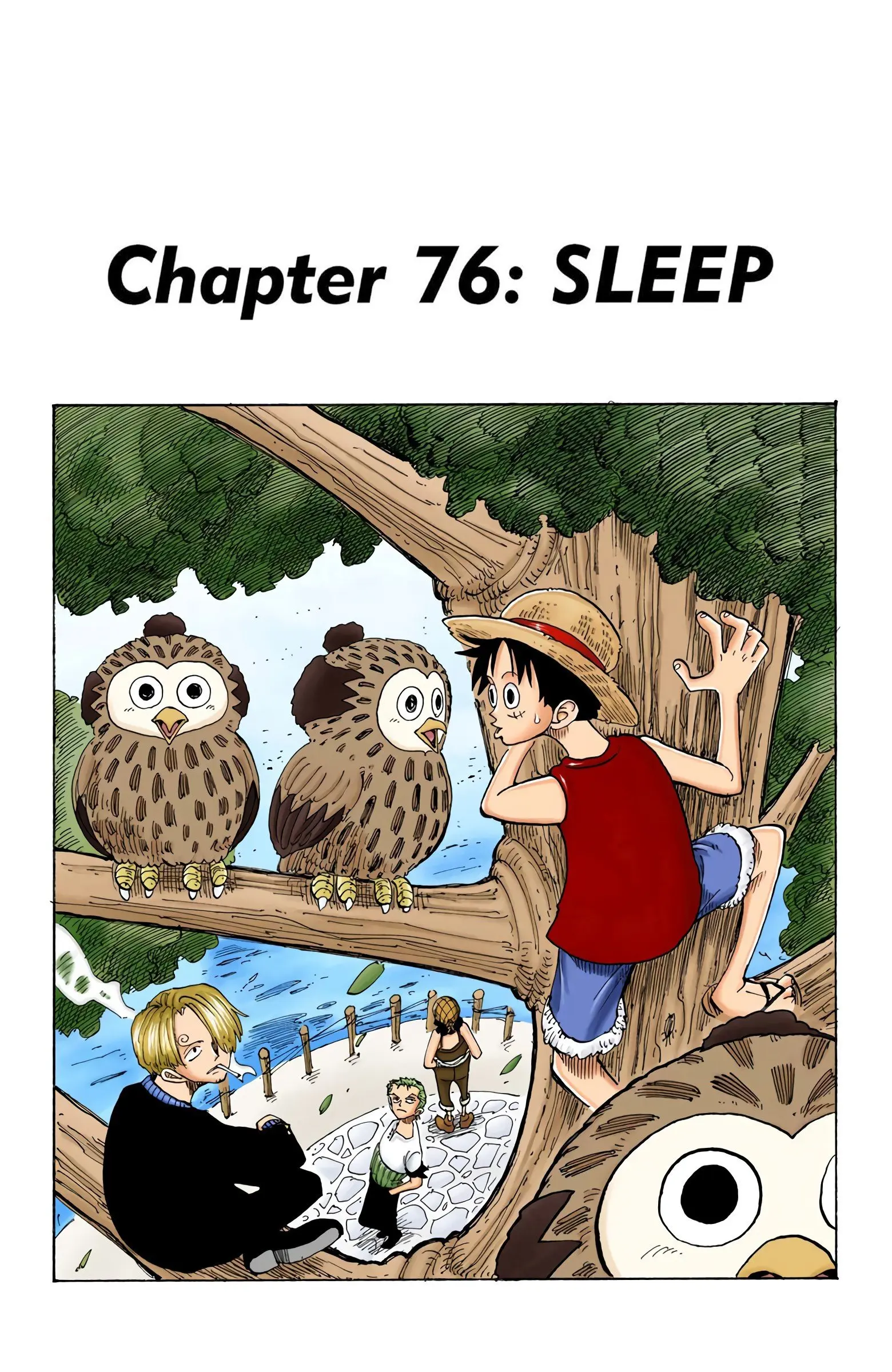 One Piece Colored - Chapter 76 - Page 1