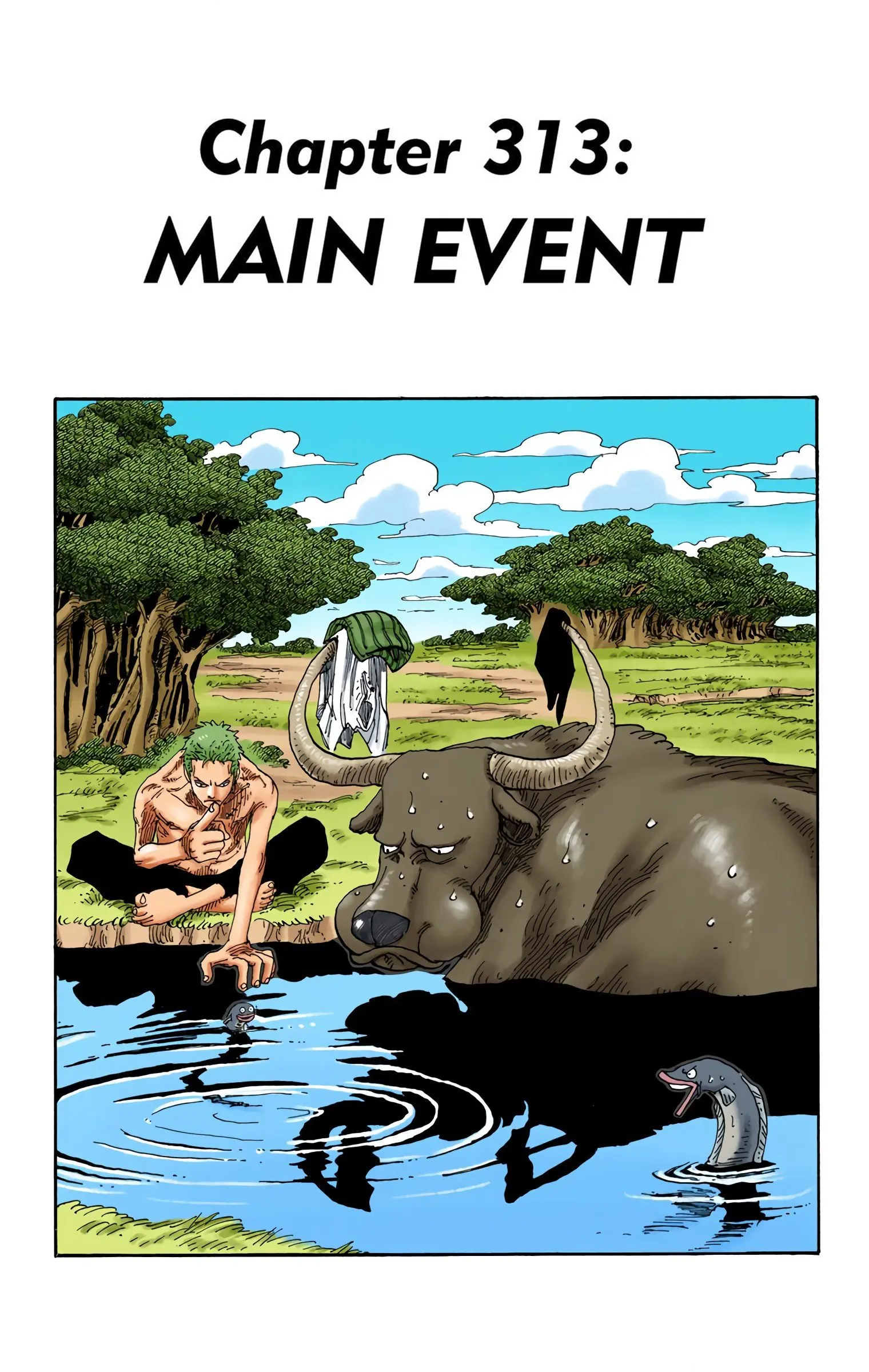 One Piece Colored - Chapter 313 - Page 1