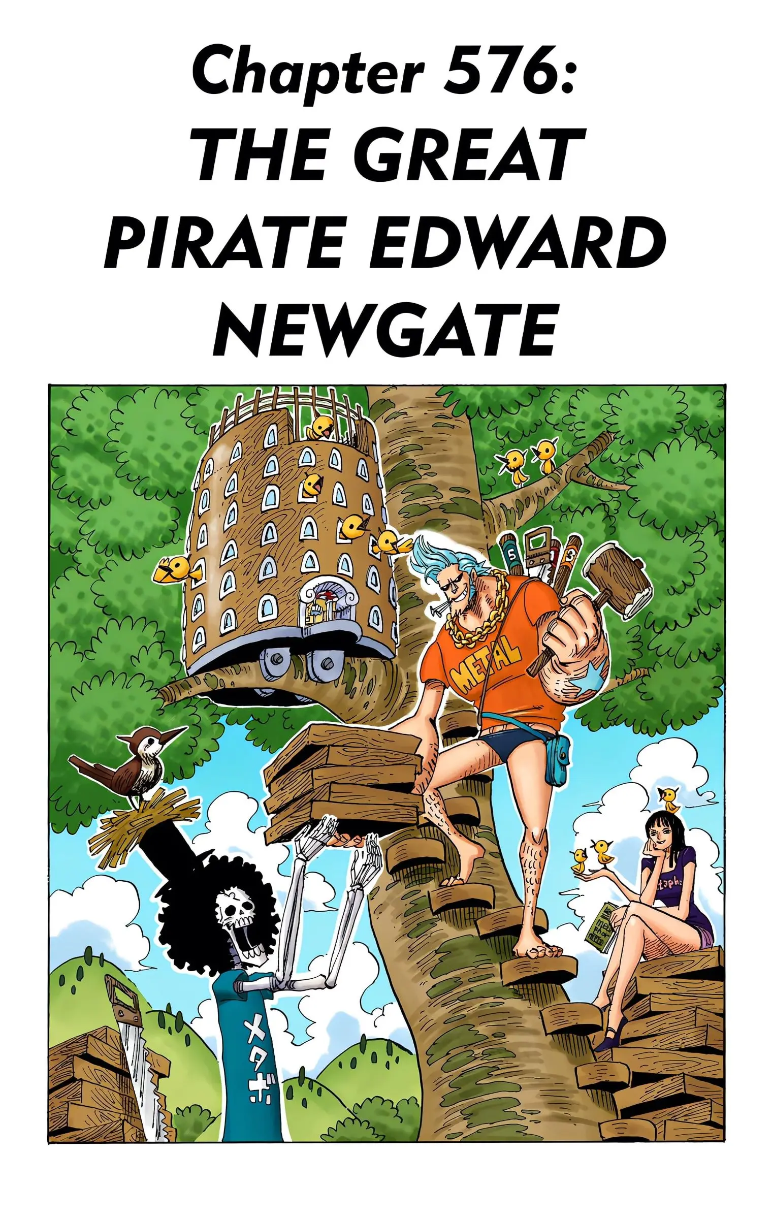One Piece Colored - Chapter 576 - Page 1