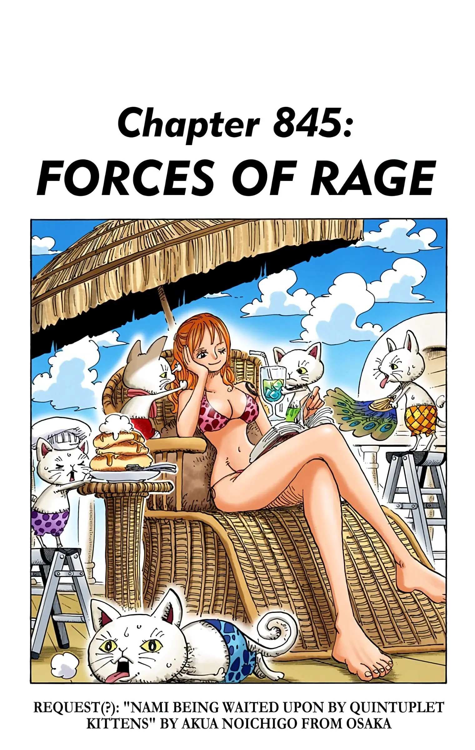 One Piece Colored - Chapter 845 - Page 1