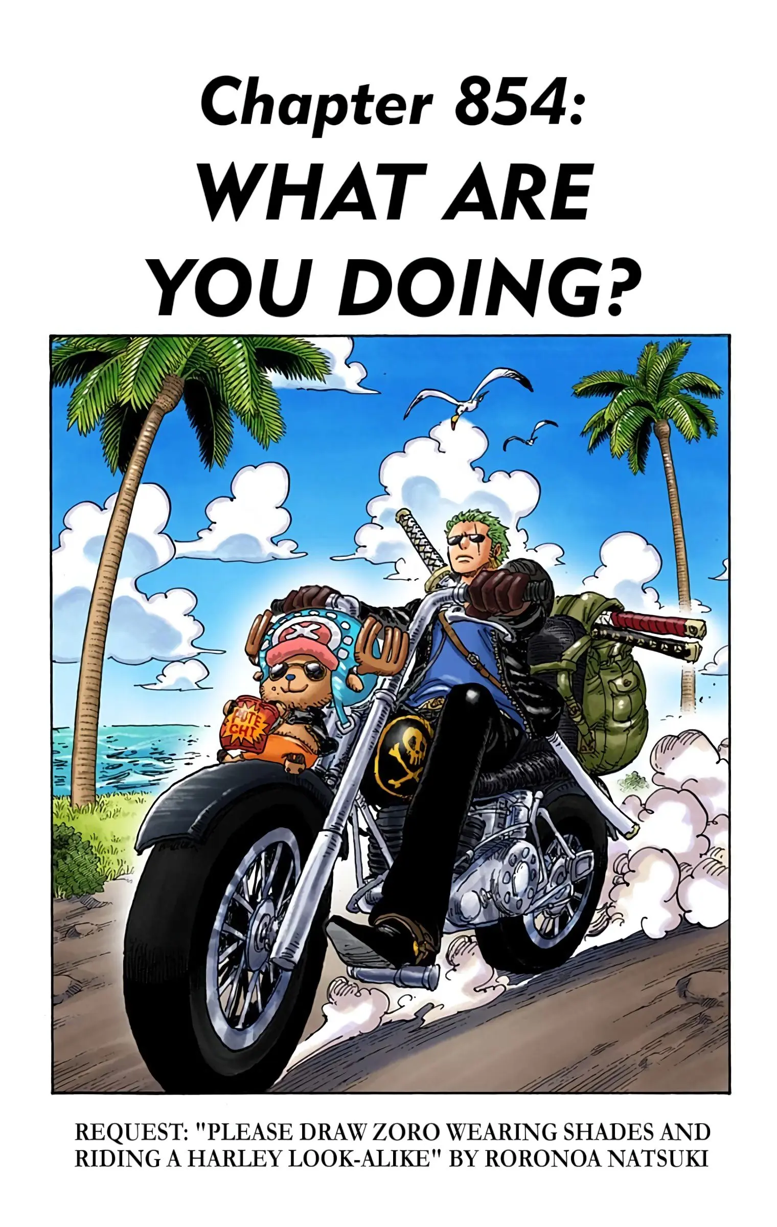 One Piece Colored - Chapter 854 - Page 1