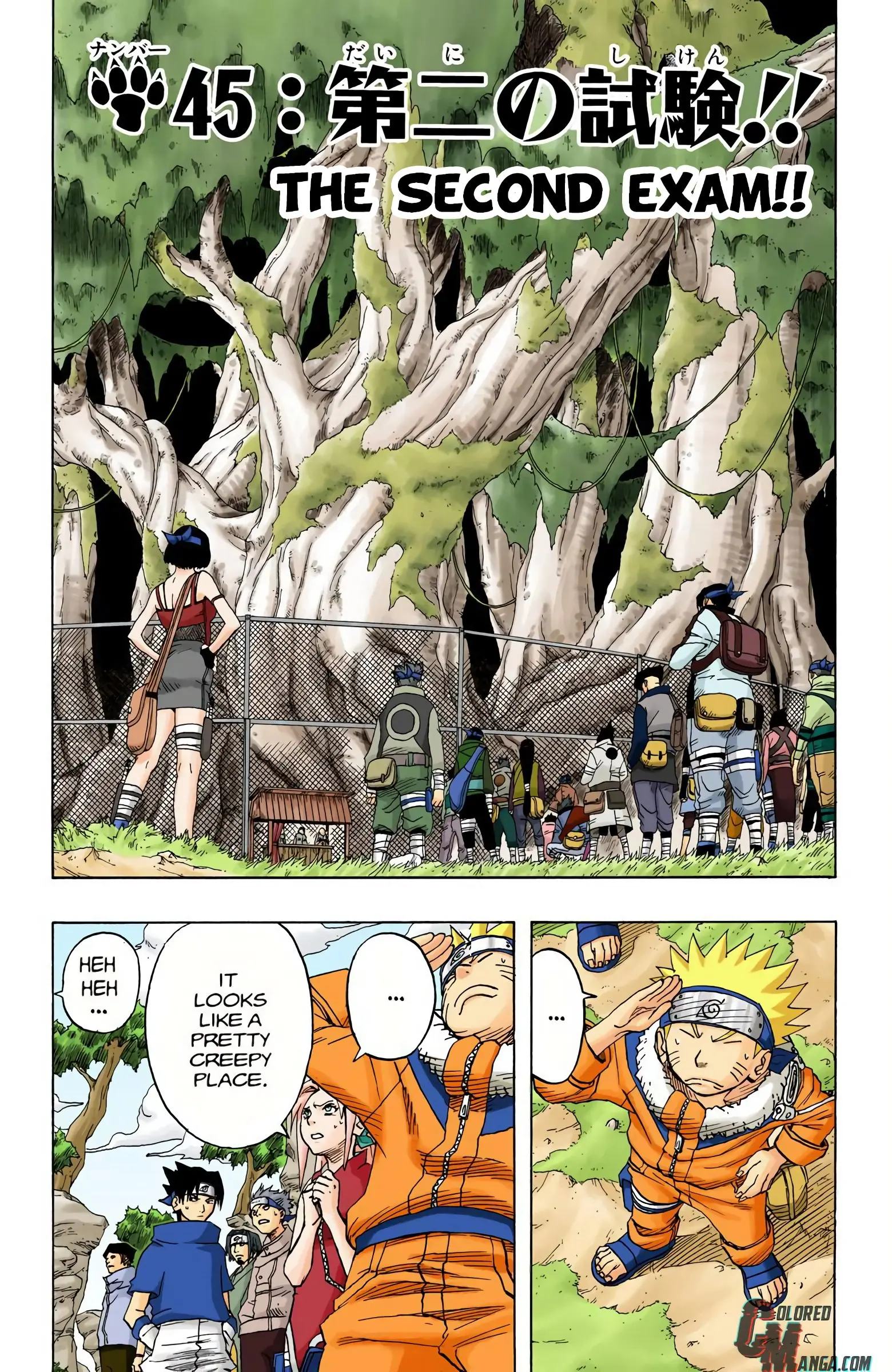 Naruto Colored Manga Online - Chapter 45 - Page 1