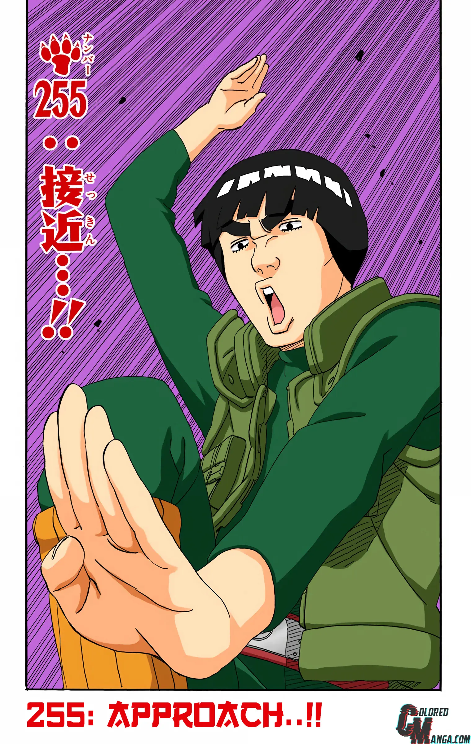 Naruto Colored Manga Online - Chapter 255 - Page 1