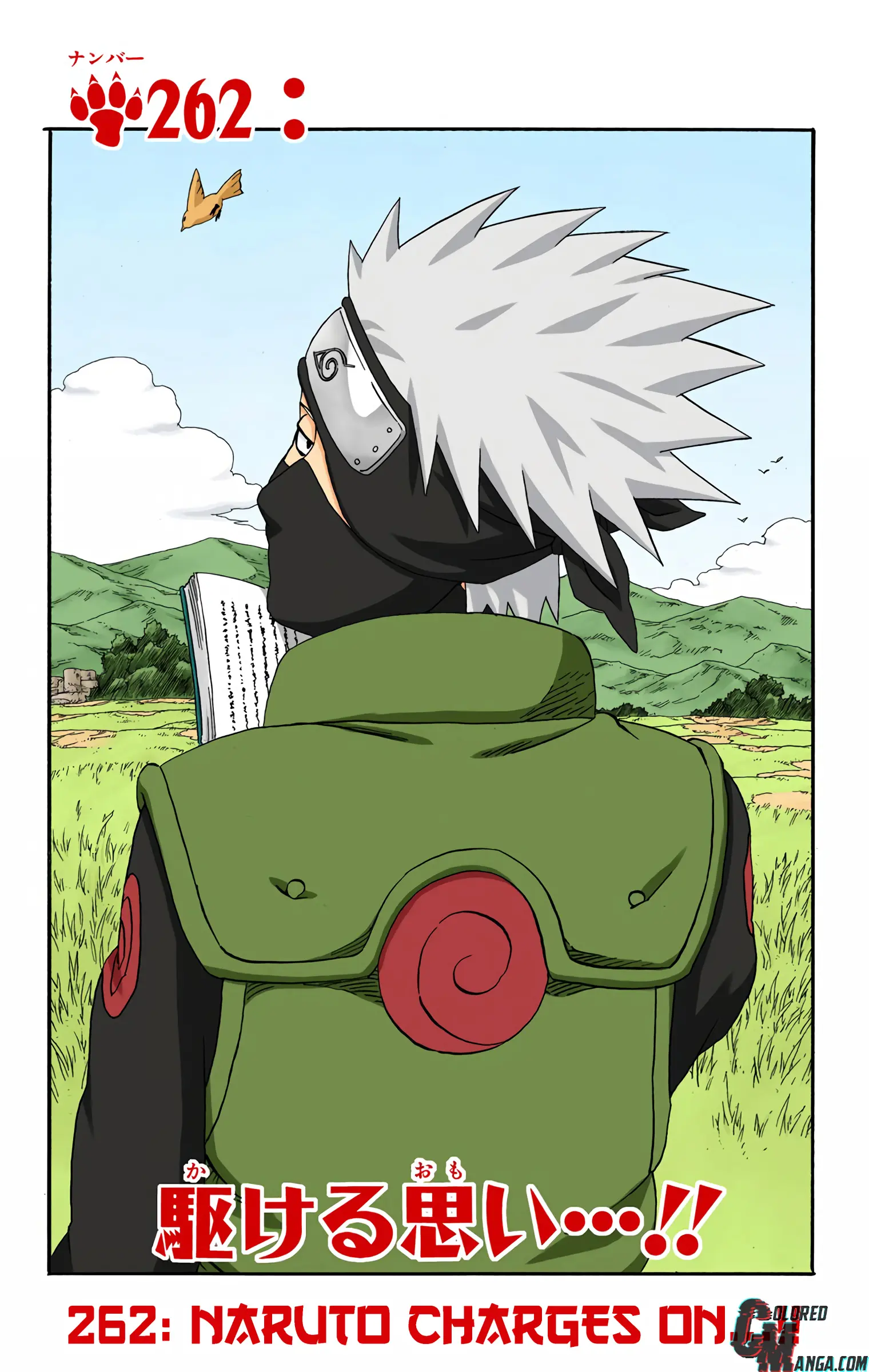 Naruto Colored Manga Online - Chapter 262 - Page 1